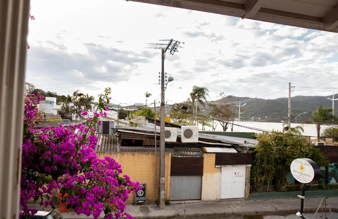 Flor Do Leste-1