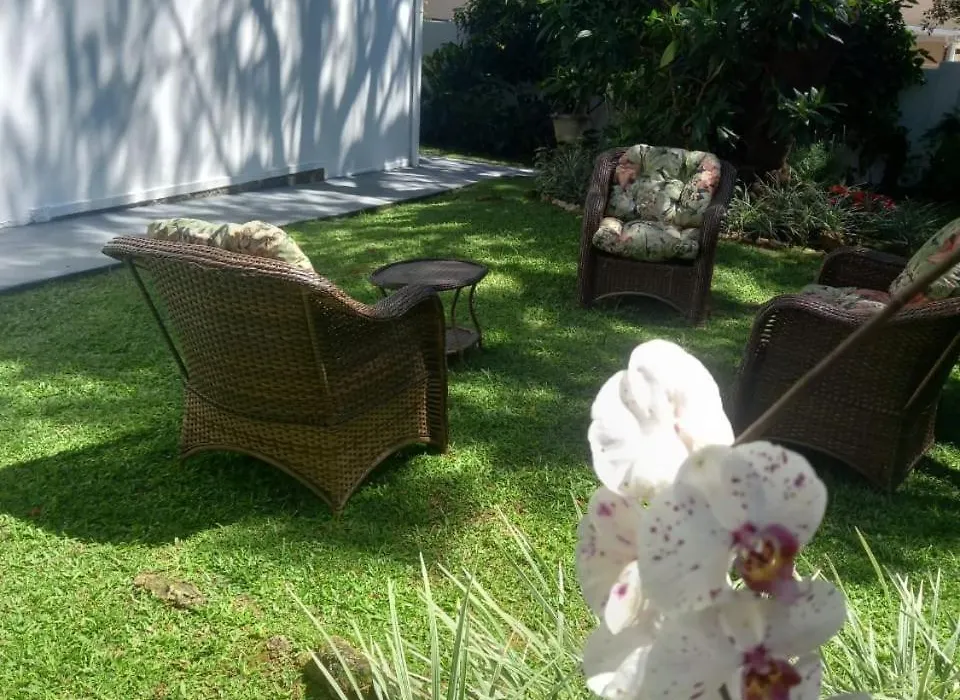 A Primeira Vista-1